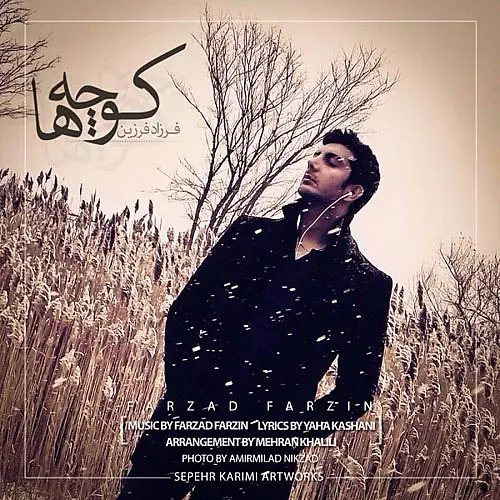 Kocheha - Farzad Farzin
